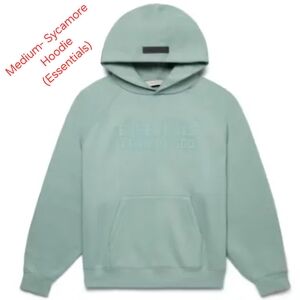 Essentials Men's Mint Hoodie